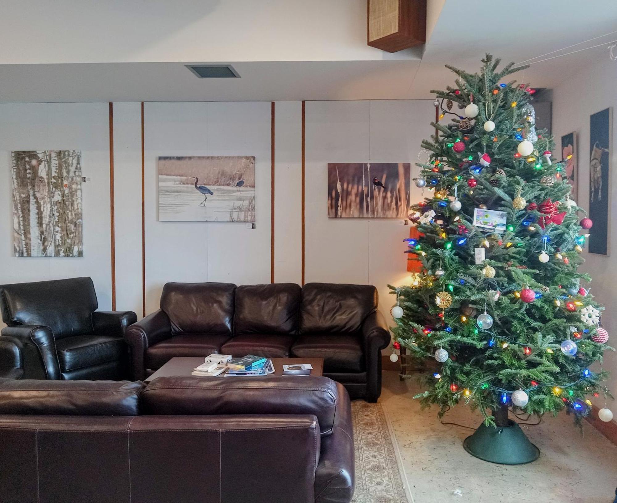 Hotel Wolfe Island Marysville Экстерьер фото