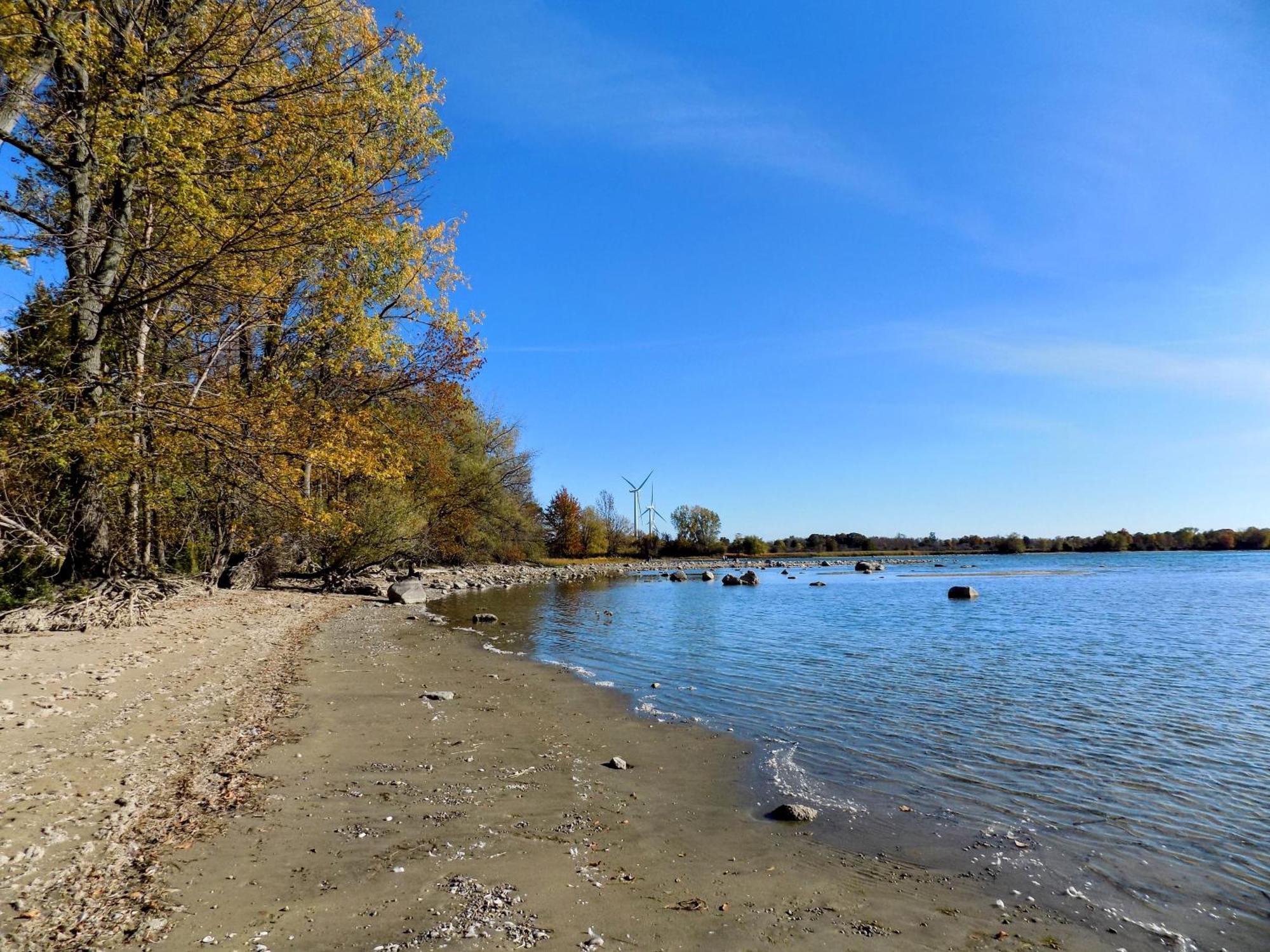 Hotel Wolfe Island Marysville Экстерьер фото